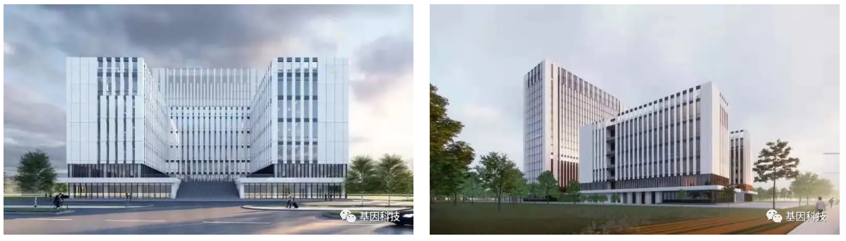 ok138cn太阳集团官网11.png
