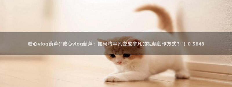 糖心vlog摄影师