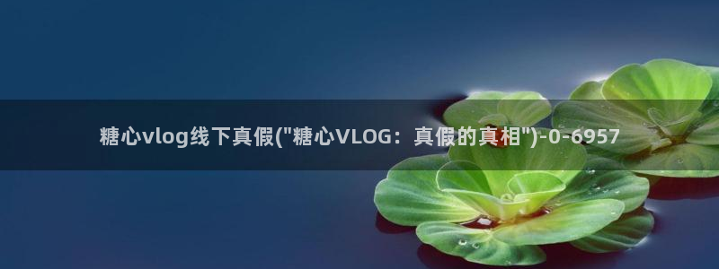 糖心vlog女主角多人