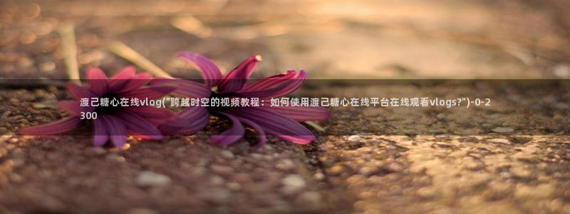 糖心视频vlog锅锅