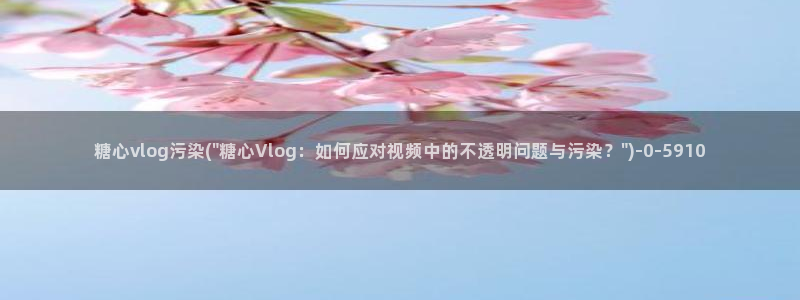 糖心vlog免费次数
