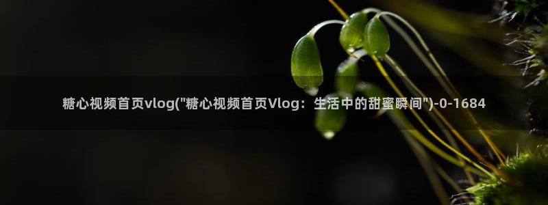 糖心vlog 苹果版
