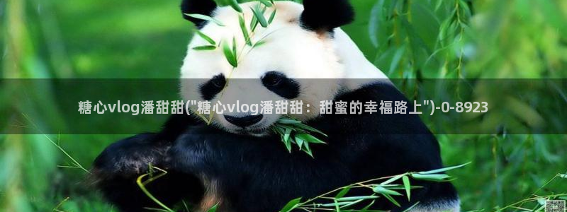 糖心vlog安装不了