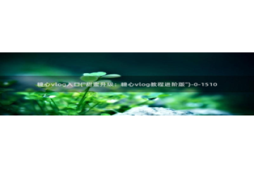 糖心vlog网址是多少：糖心vlog入口(\