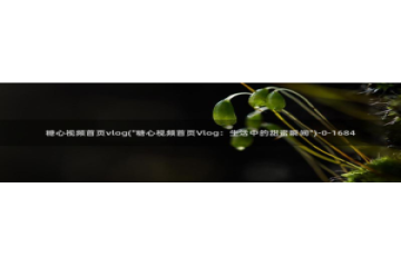 糖心vlog 苹果版：糖心视频首页vlog(\