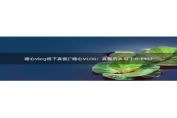 糖心vlog女主角多人：糖心vlog线下真假(\