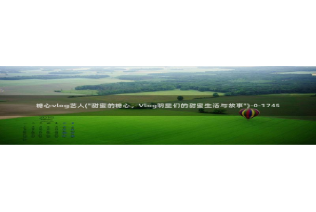 糖心vlog 鸡蛋饼：糖心vlog艺人(\