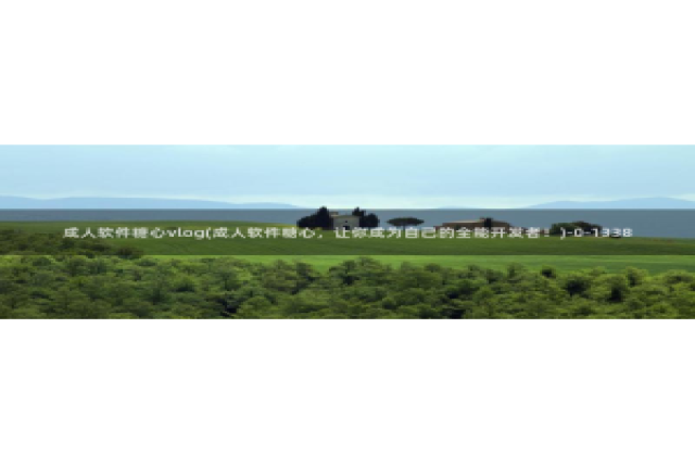 糖心vlog夜晚：成人软件糖心vlog(成人软件糖心，让你成为自己的全能开发者！