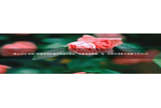 糖心vlog看片：糖心vlog 姐姐(\