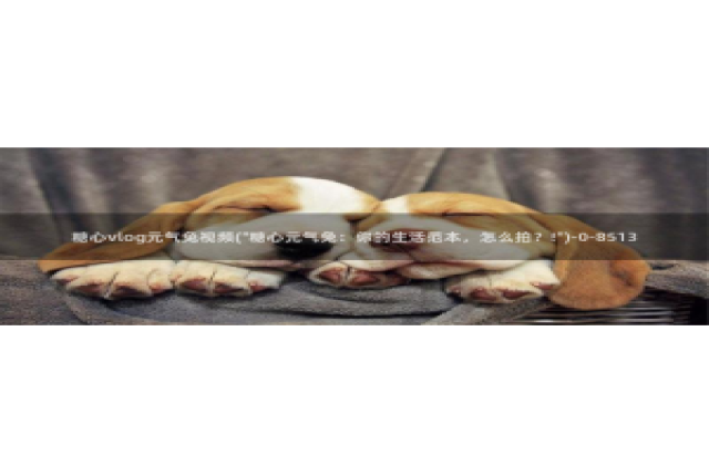 糖心vlog综合：糖心vlog元气兔视频(\