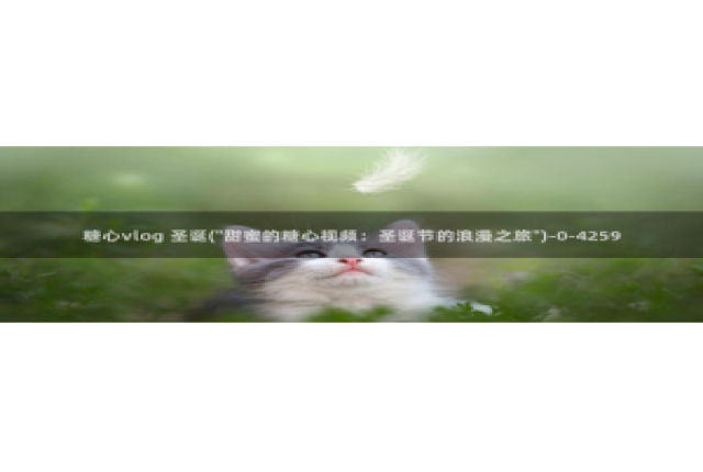 糖心 vlog：糖心vlog 圣诞(\