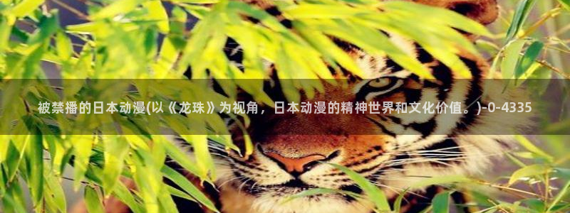 爱动漫