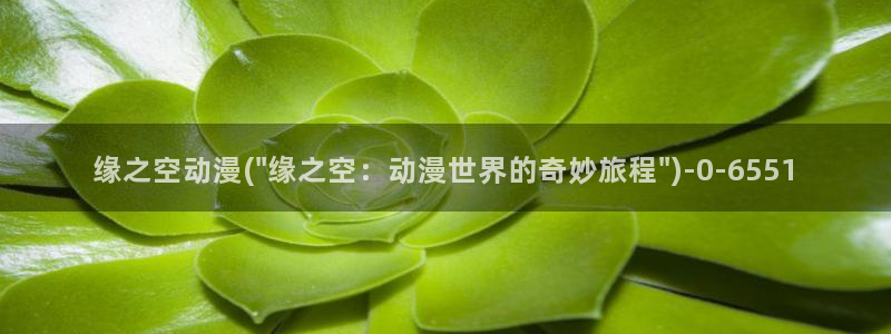 成人动漫在线